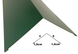 Gąsior na dach skośny dwuspadowy - stal powlekana SP06